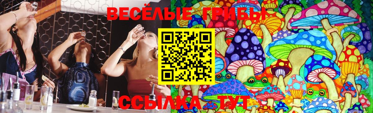 Ноябрьск  Псилоцибиновые грибы мицелий  Вход с VPN 
