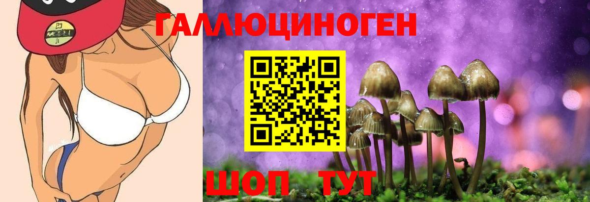 Псилоцибиновые грибы мухоморы Ноябрьск